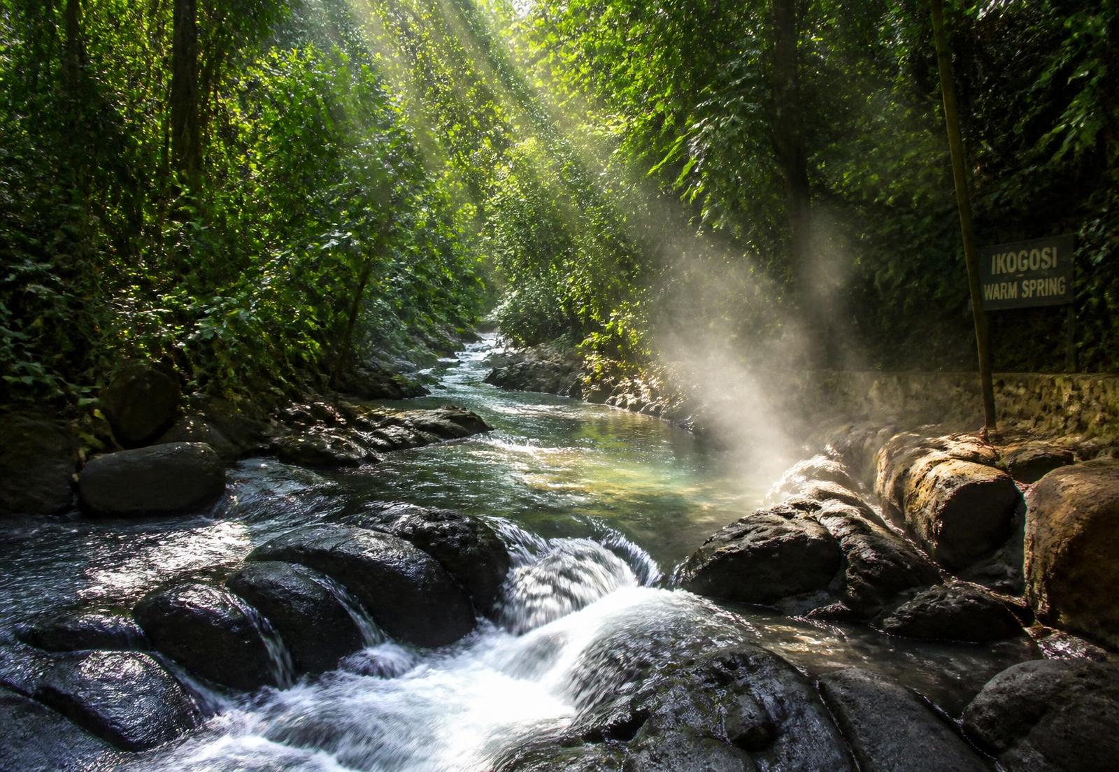 Ikogosi warm springs